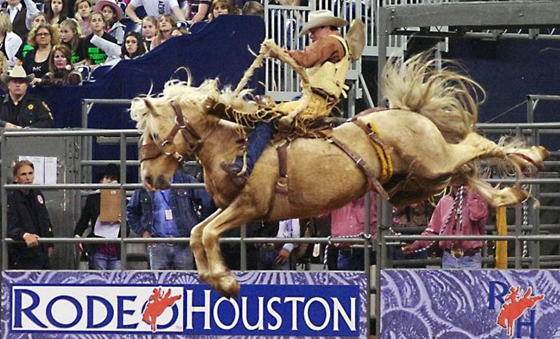 Rodeo en Houston 2023 conciertos, BBQ, desfiles y más experiencias