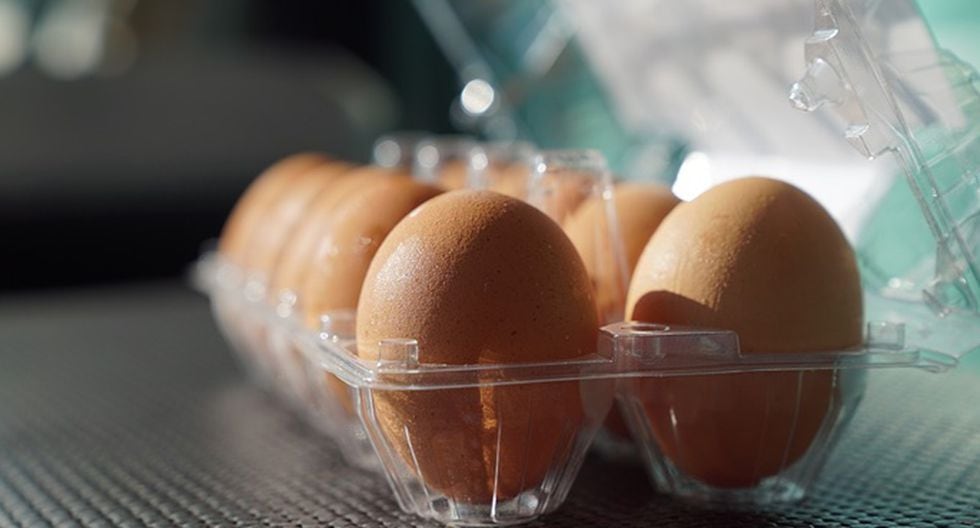 COZEVDNT Almacenamiento de huevos en el frigorífico, dispensador de huevos,  huevera en el frigorífico, soporte para
