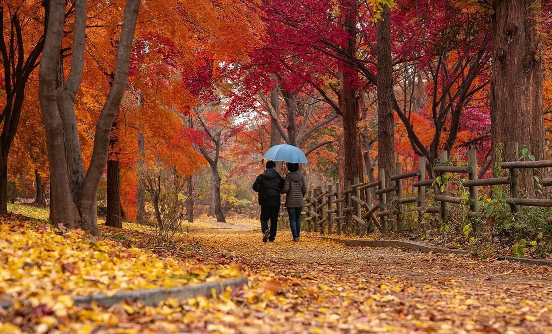 Cuándo comienza el otoño 2022 y cuándo termina?